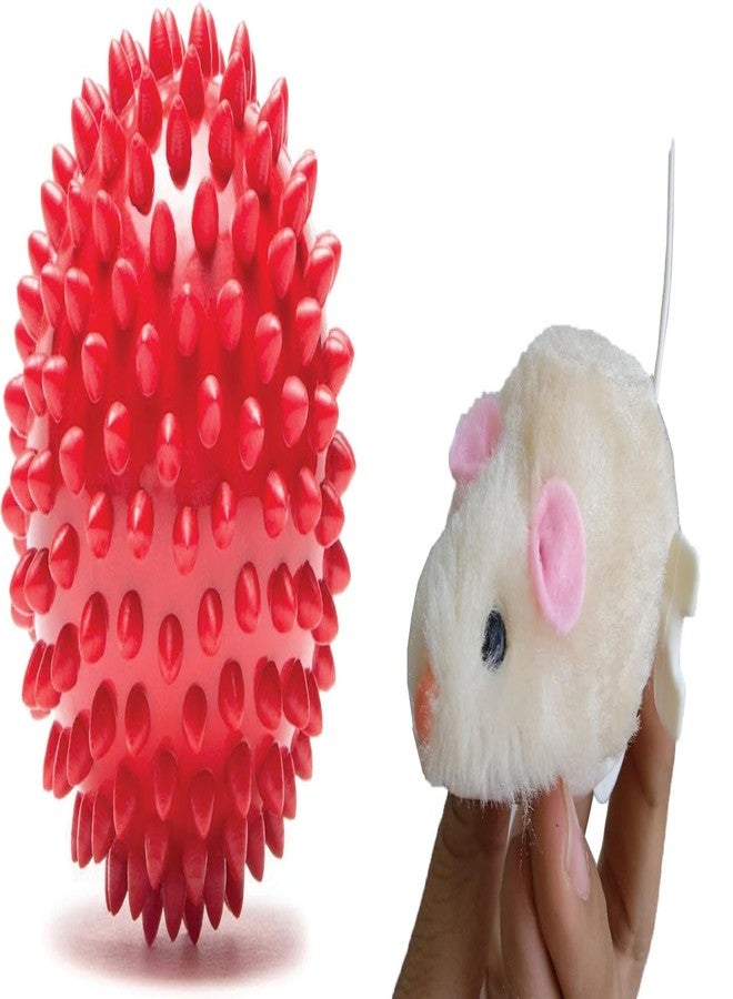 PET FUN Natural Rubber Spiked Dog Ball 2.8" | Bouncy Chew Toy for Puppies & Small-Medium Dogs Wind-Up Key Mouse Toy for Cats & Small Pets | Realistic Plush with Twirling Tail Combo of 2 - Image 1